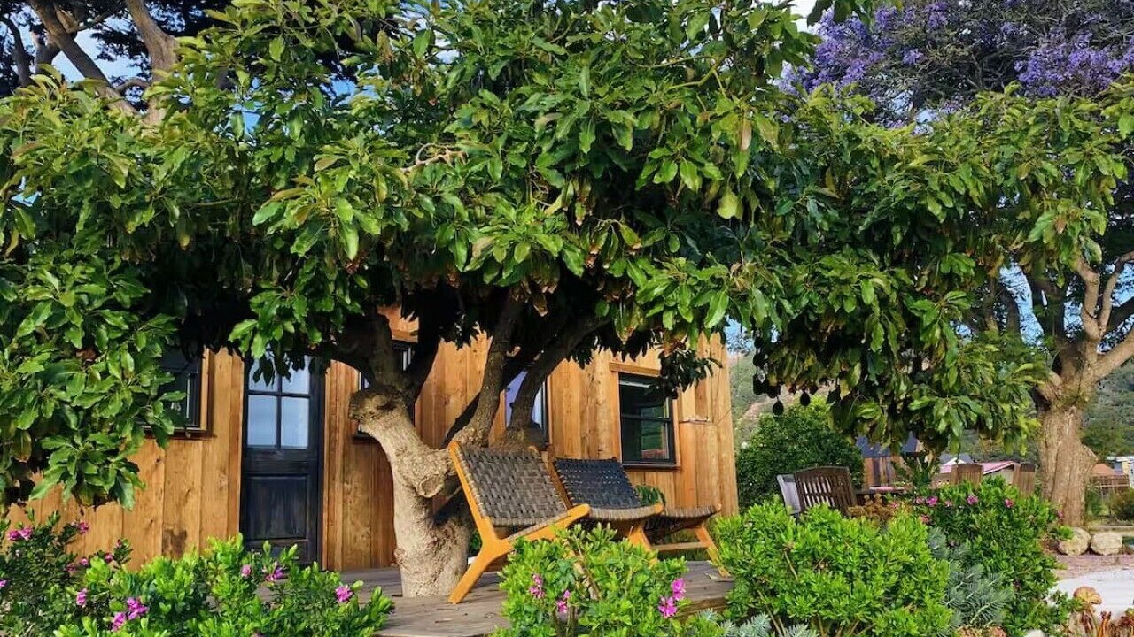 Photo of Outdoor in Arroyo Grande