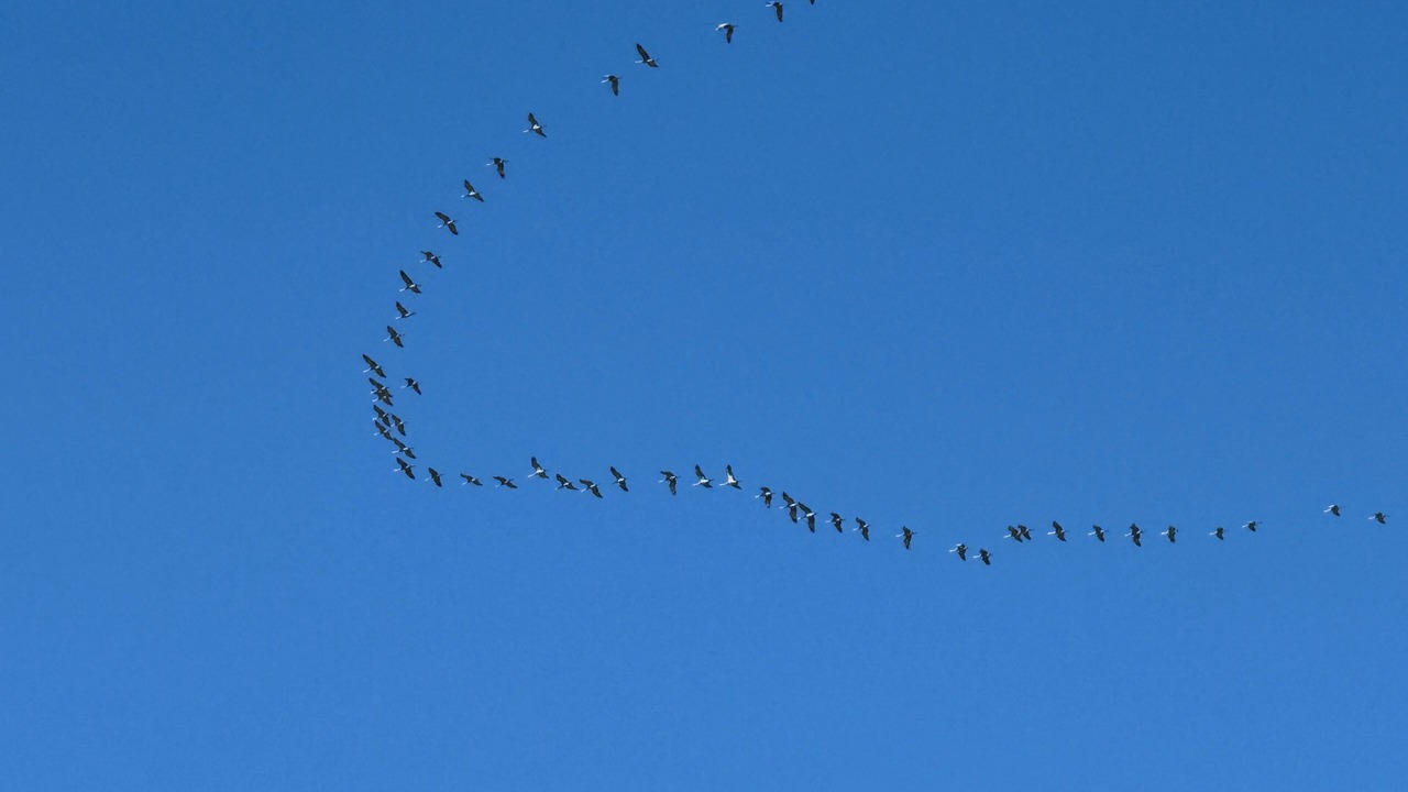 Photo of Others in Lemoore