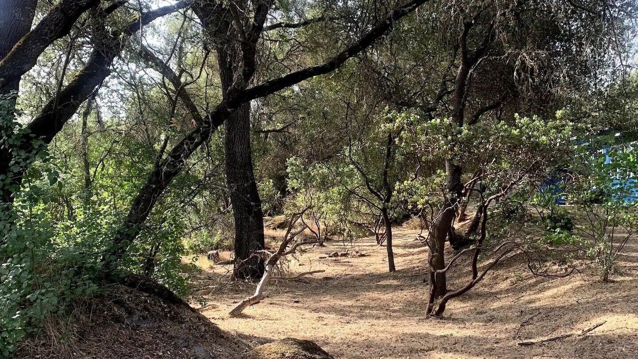 Photo of Others in Mariposa