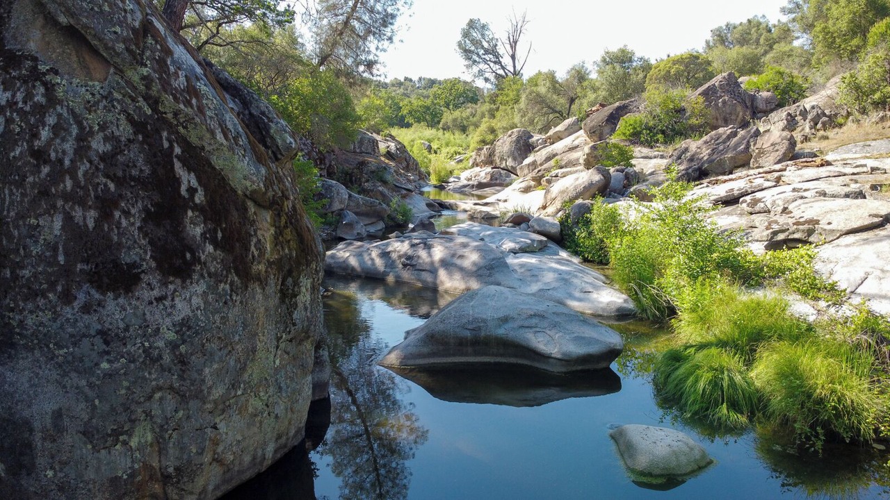 Photo of Others in Mariposa