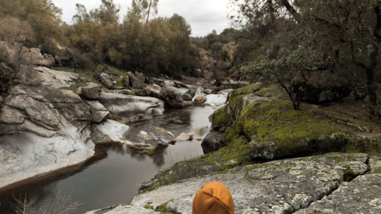 Photo of Others in Mariposa