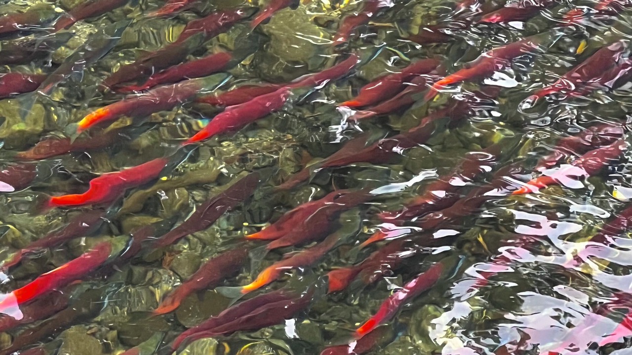 Photo of Others in Round Hill Village