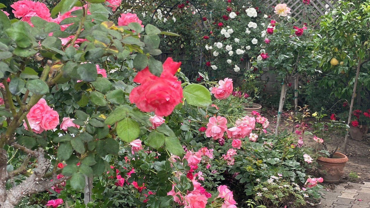 Photo of Outdoor in Ojai