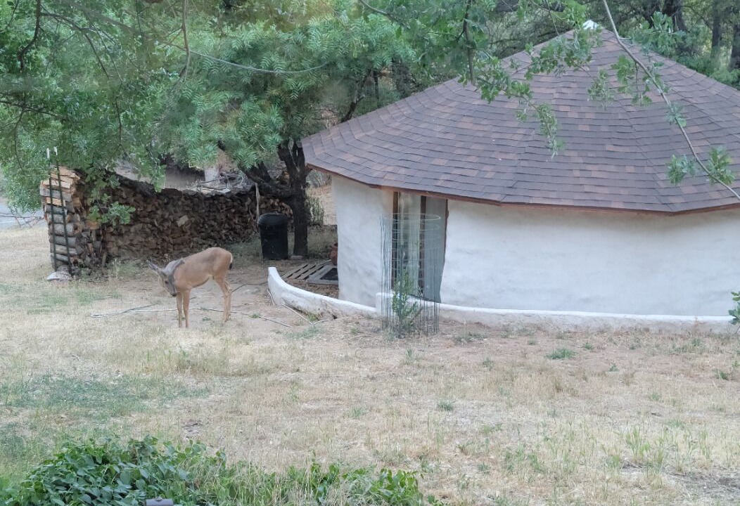 Photo of Outdoor in Oakhurst