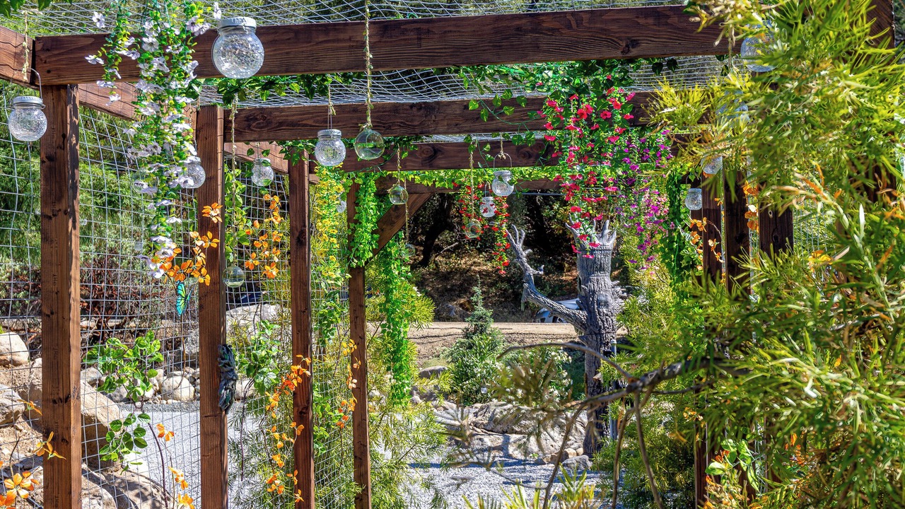 Photo of Outdoor in Three Rivers