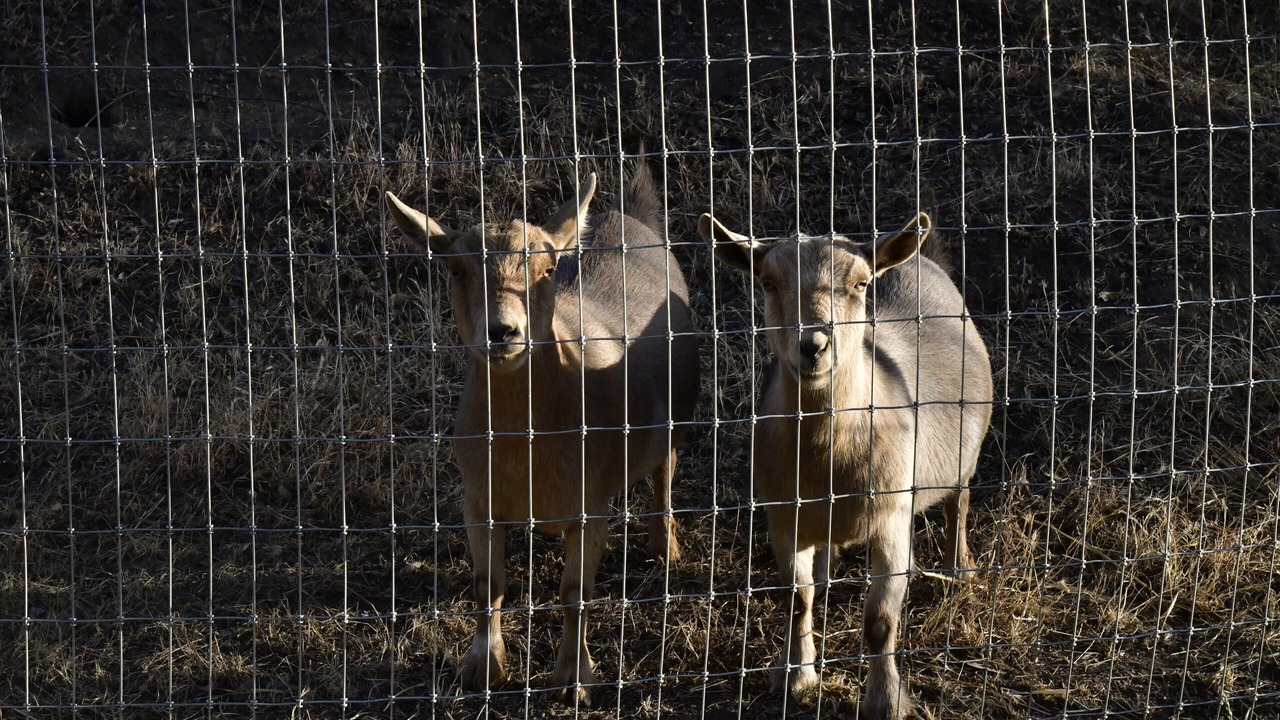 Photo of Others in Prather