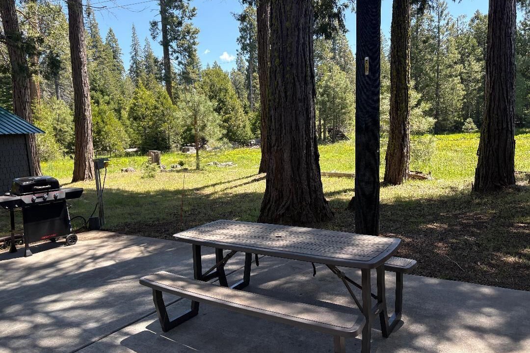 Photo of Others in Shaver Lake