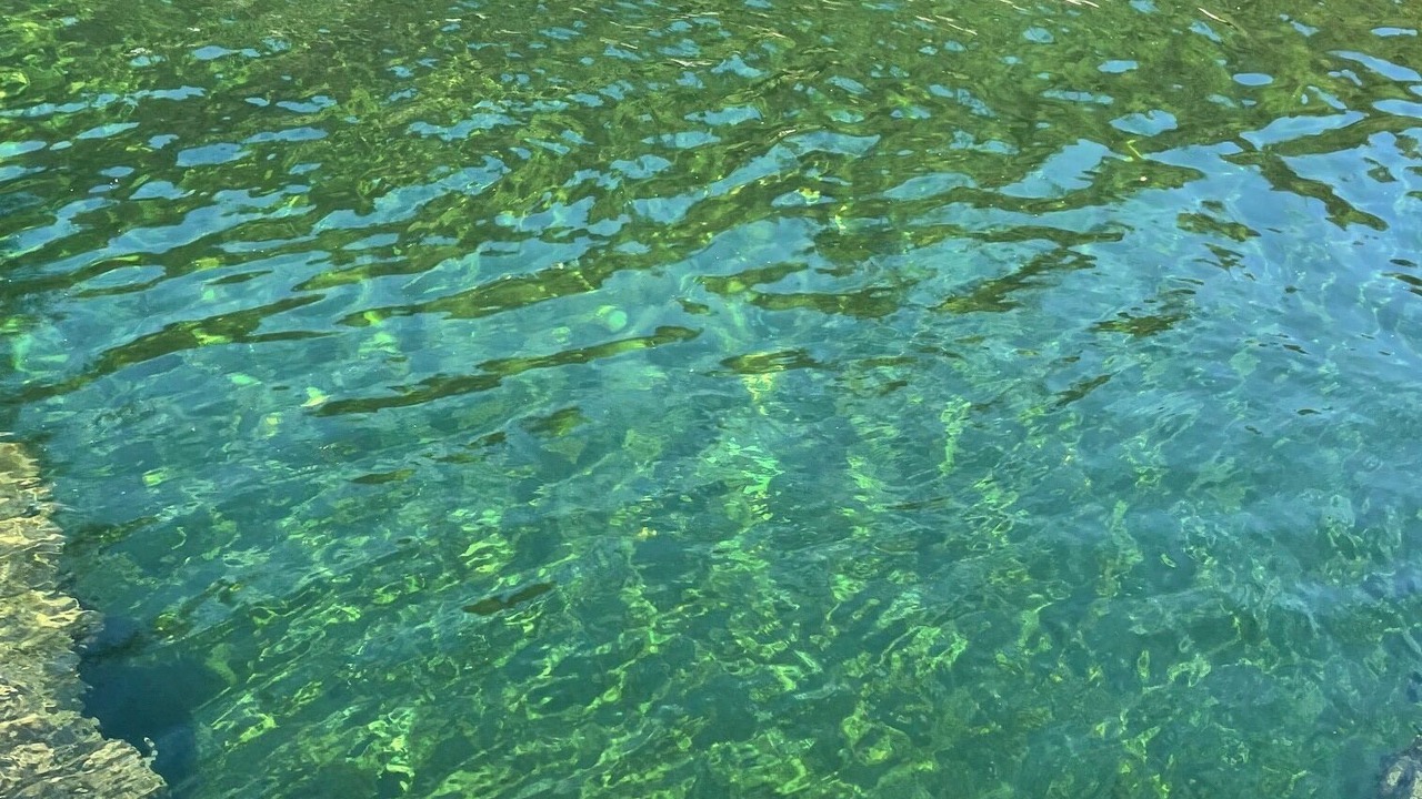 Photo of Others in Grass Valley