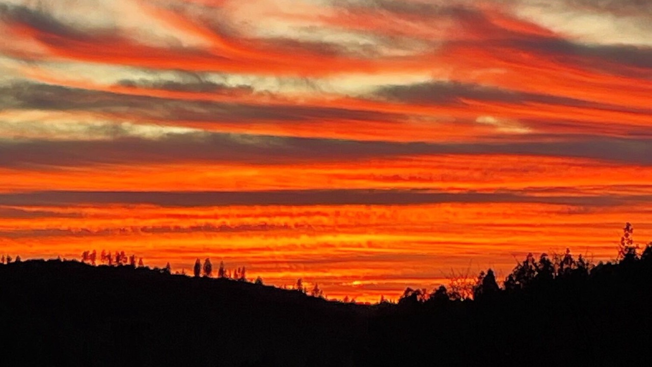 Photo of Others in Grass Valley