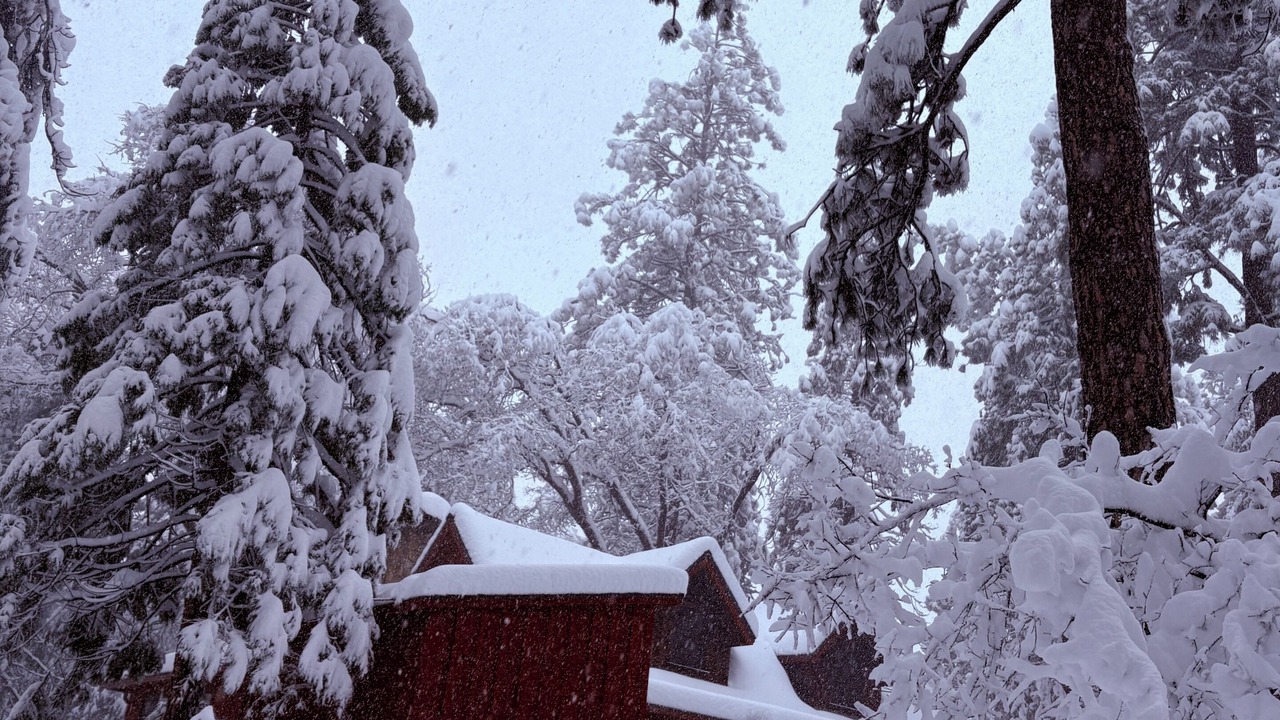 Photo of Outdoor in Twain Harte