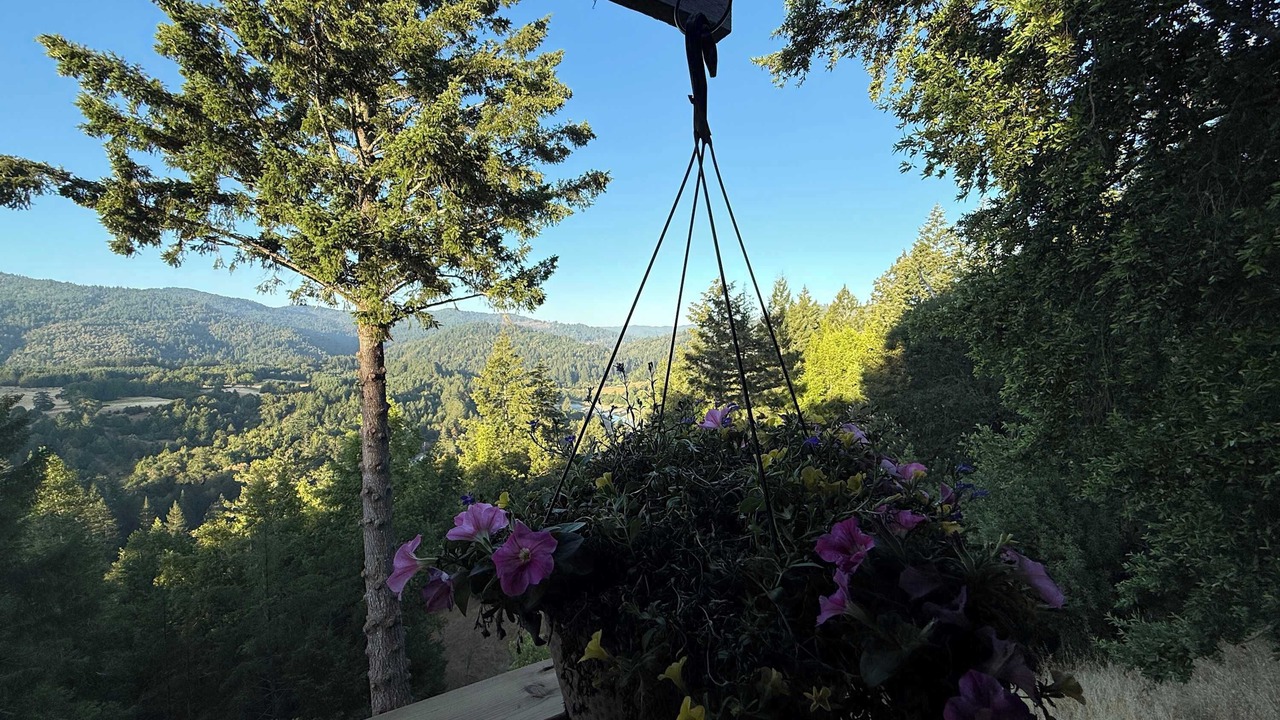 Photo of Outdoor in Garberville