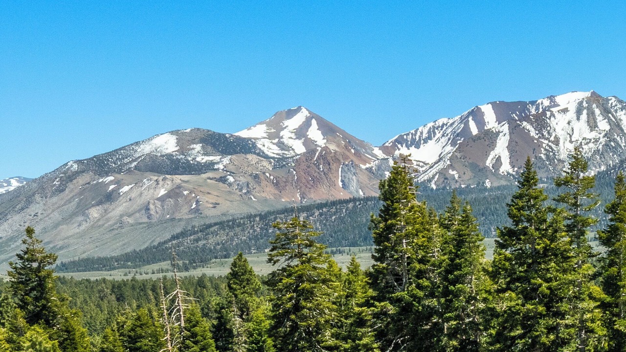 Photo of Others in Mammoth Lakes