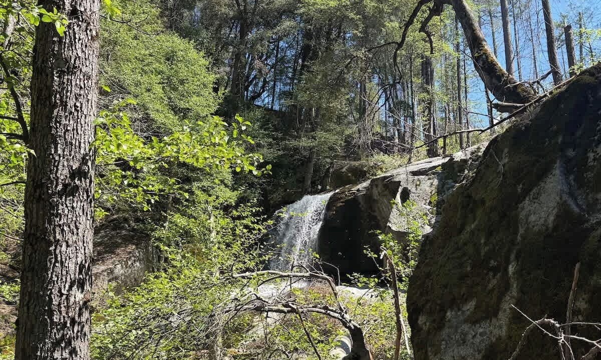 Photo of Others in Big Creek