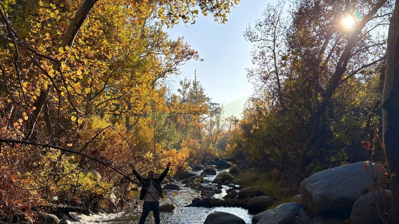 Photo of Others in Springville