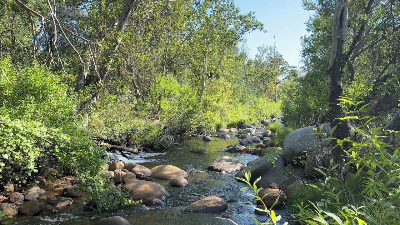 Photo of Others in Springville