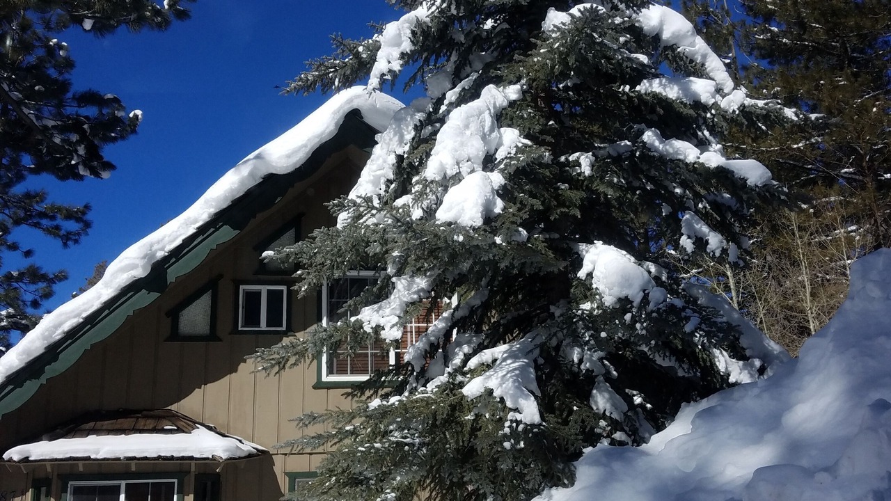 Photo of Outdoor in South Lake Tahoe