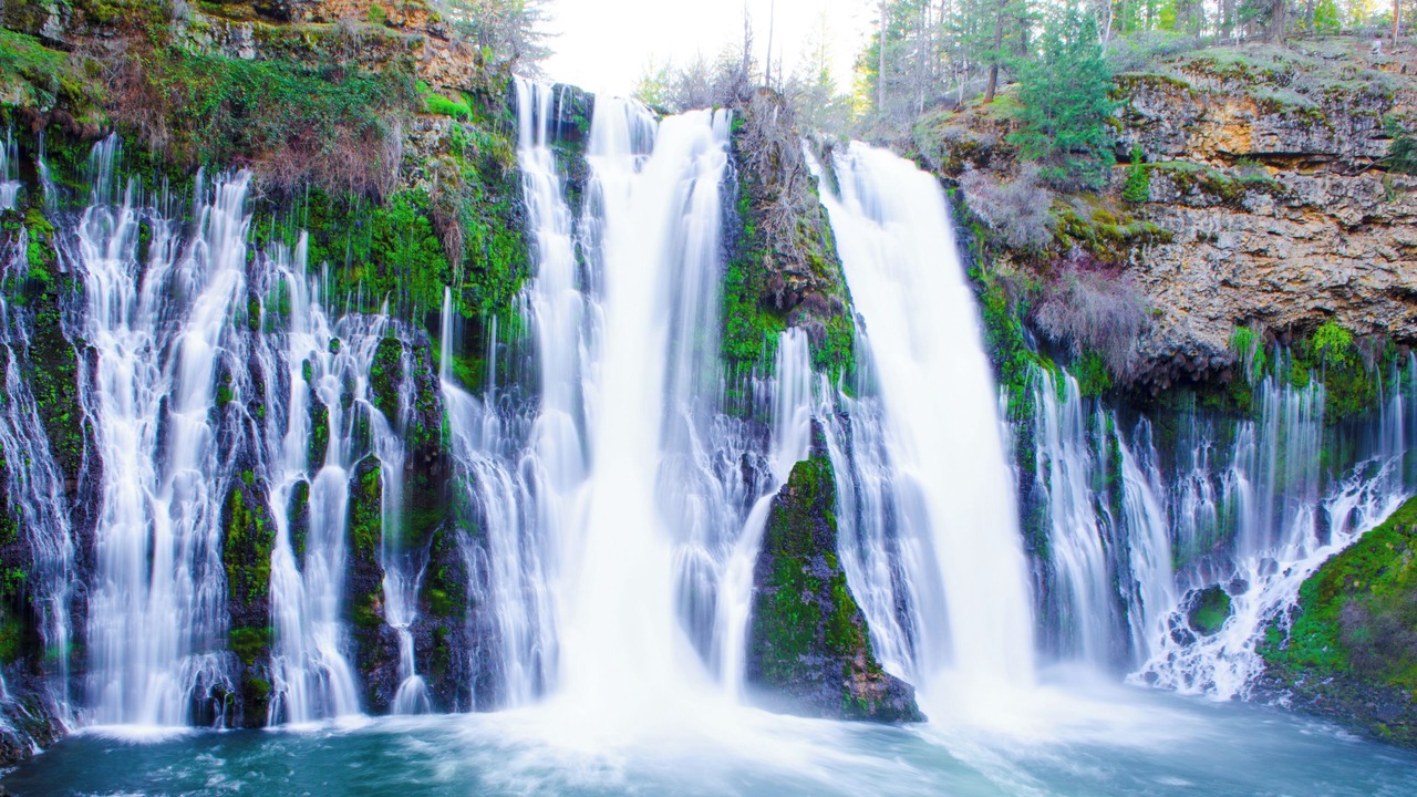 Photo of Others in Redding