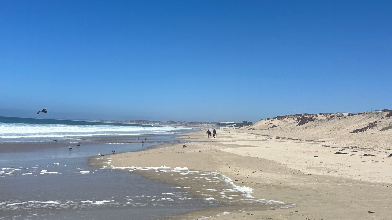 Photo of Others in Monterey