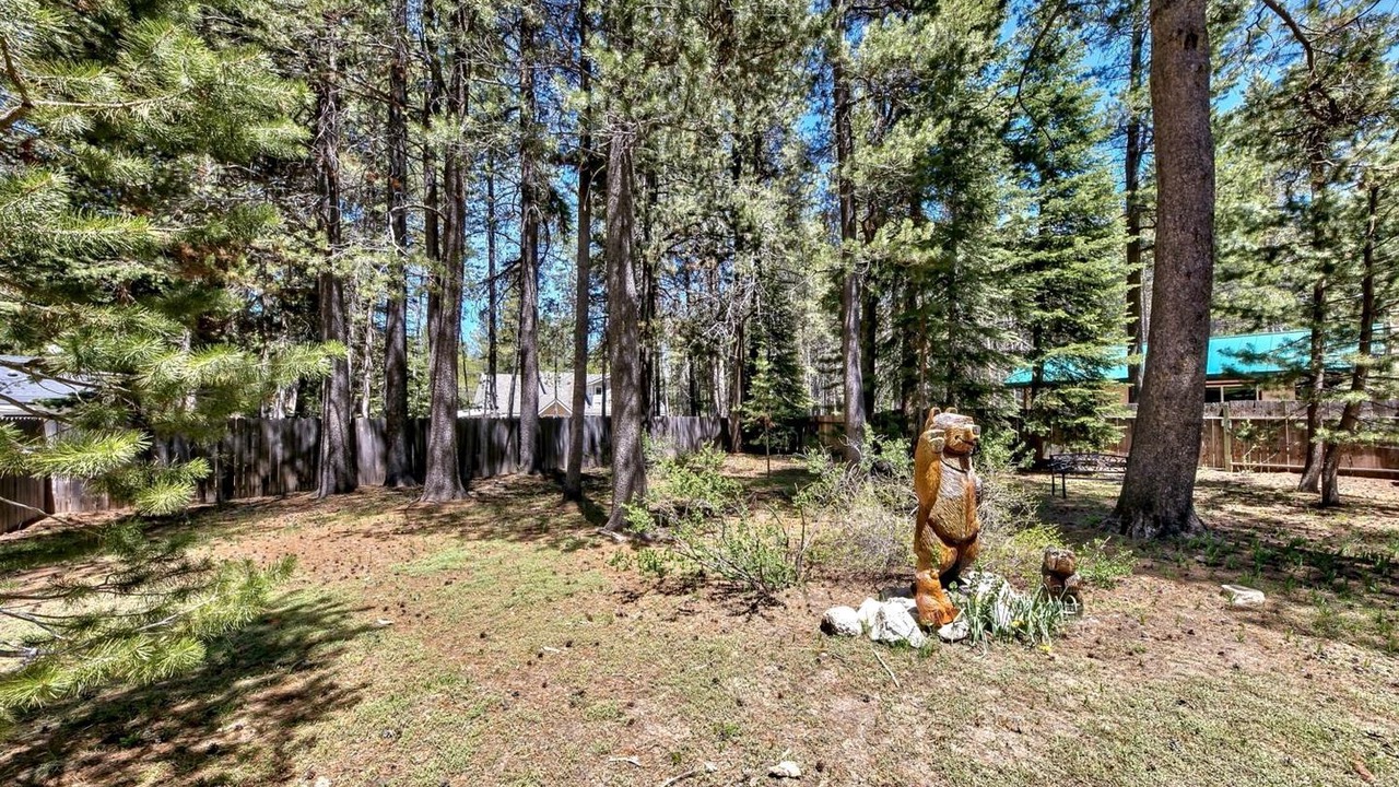 Photo of Outdoor in Tahoe Paradise