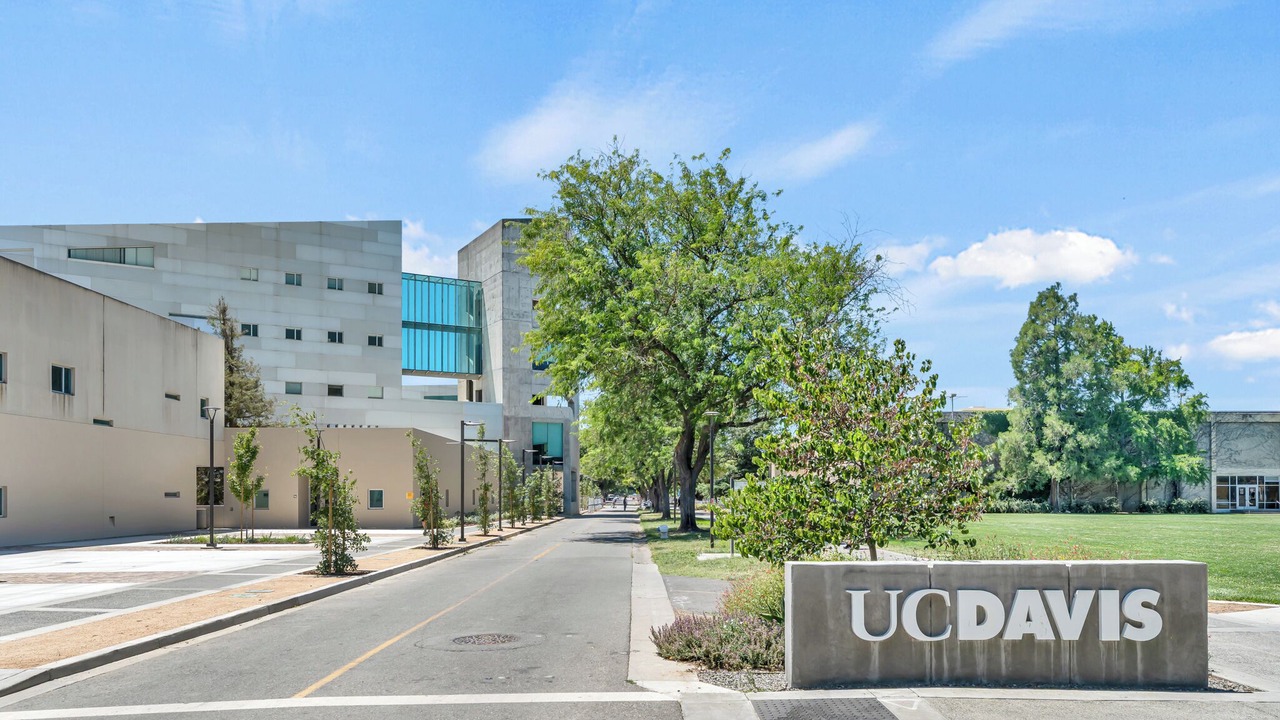 Photo of Outdoor in Central Davis