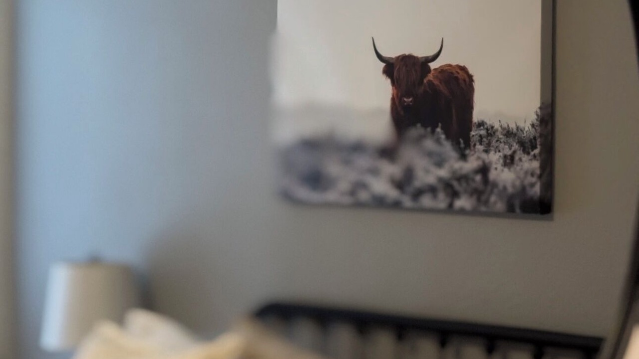 Photo of Bedroom in Raisin