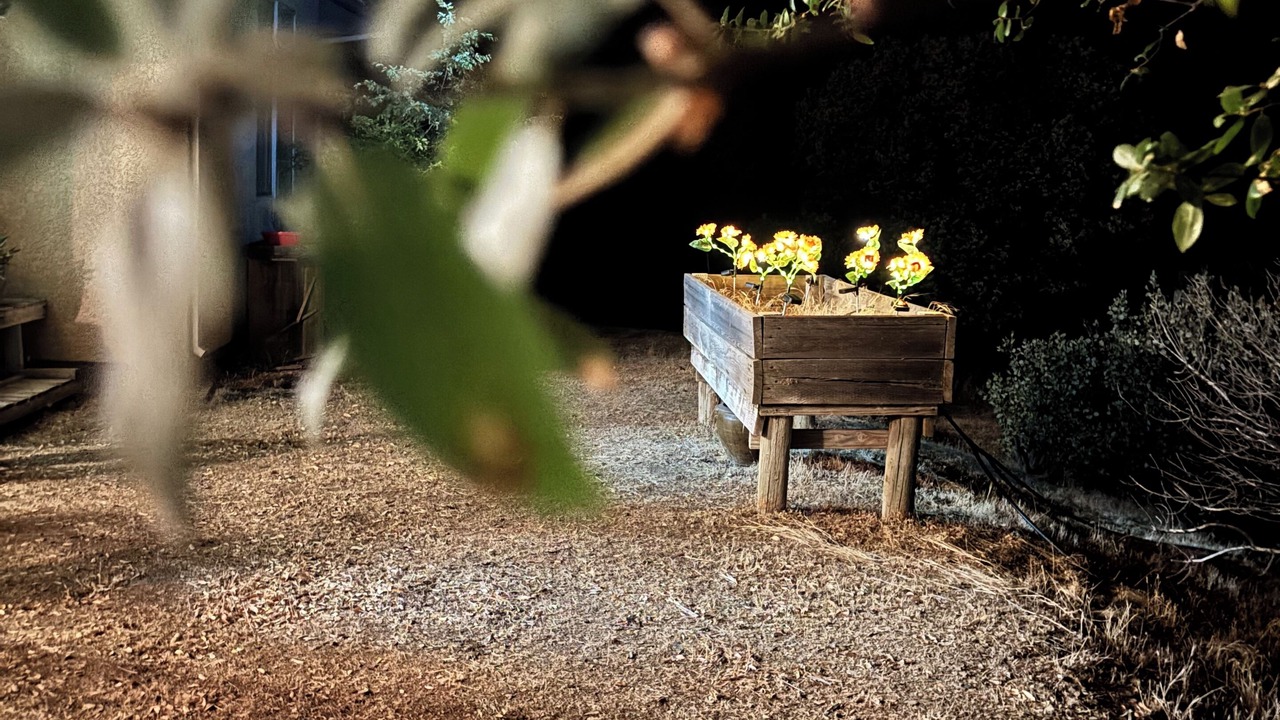 Photo of Outdoor in Mariposa