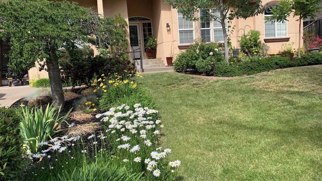 Photo of Outdoor in Cameron Park
