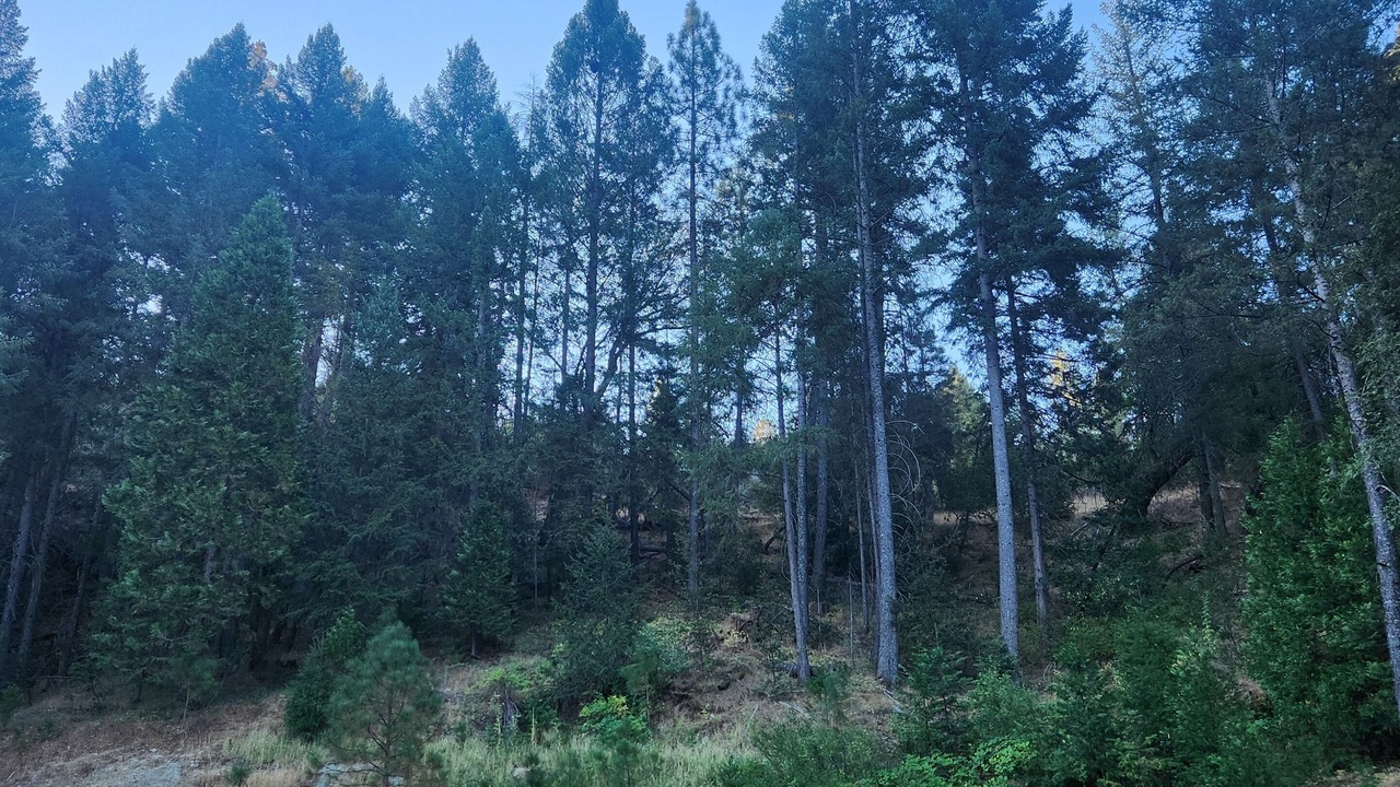 Photo of Others in Placerville