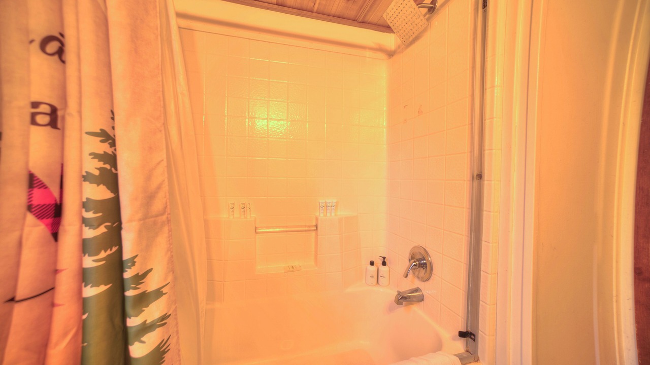 Photo of Bathroom in Tahoe Valley