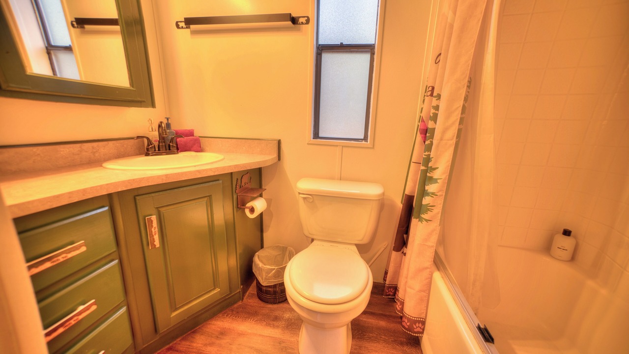 Photo of Bathroom in Tahoe Valley