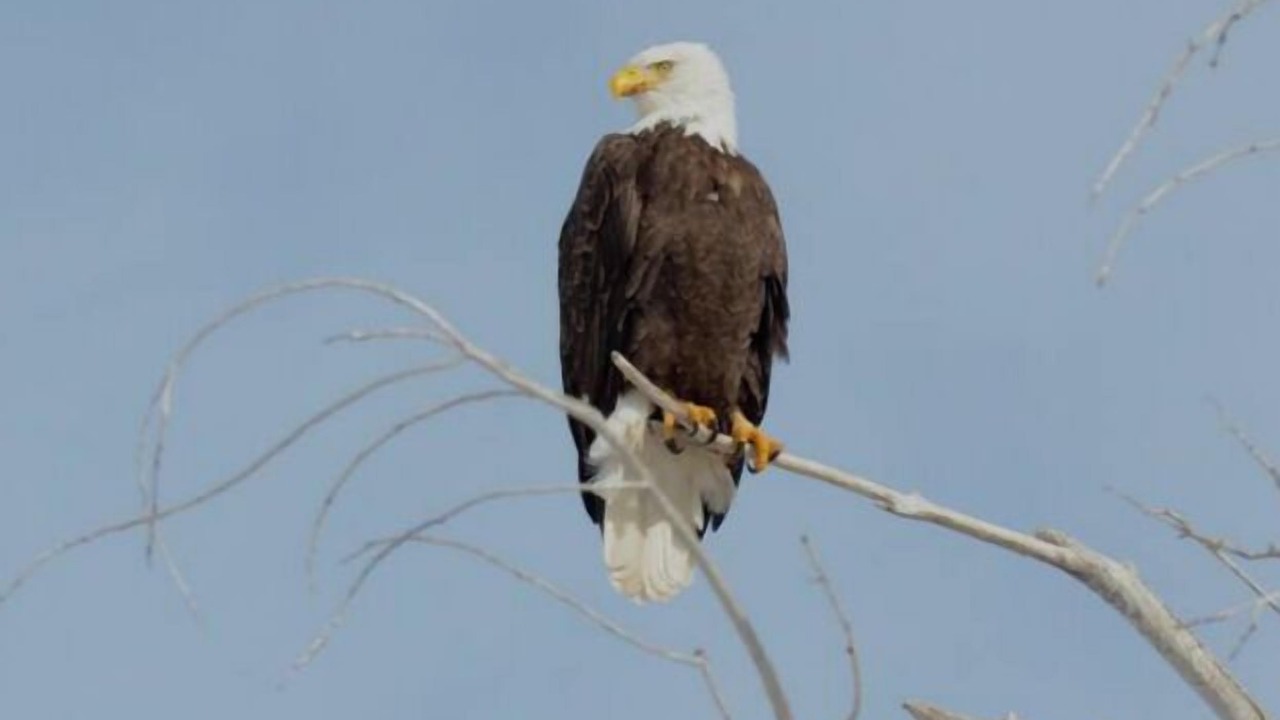 Photo of Outdoor in New Washoe City