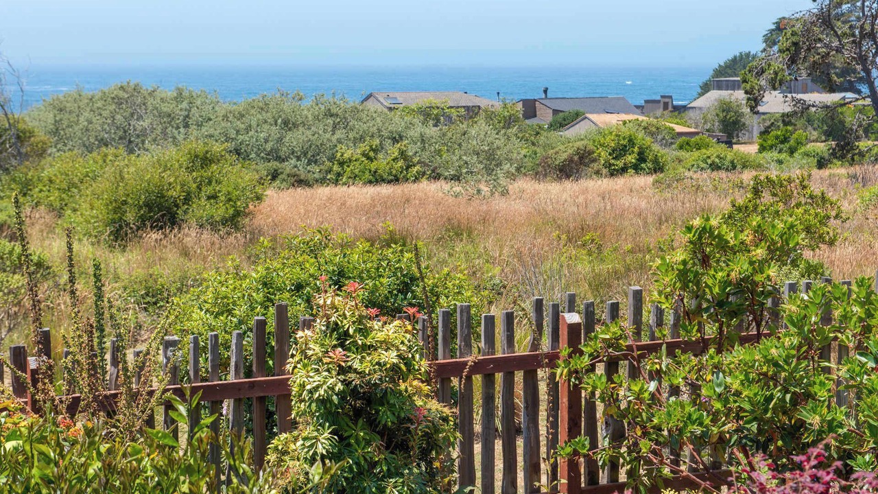 Photo of Outdoor in Sea Ranch