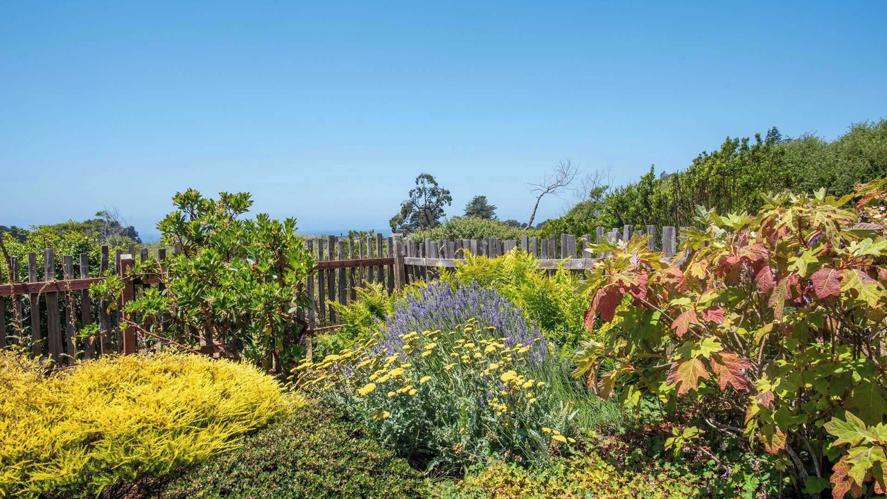 Photo of Outdoor in Sea Ranch