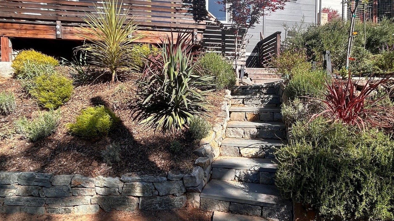 Photo of Outdoor in Fairfax