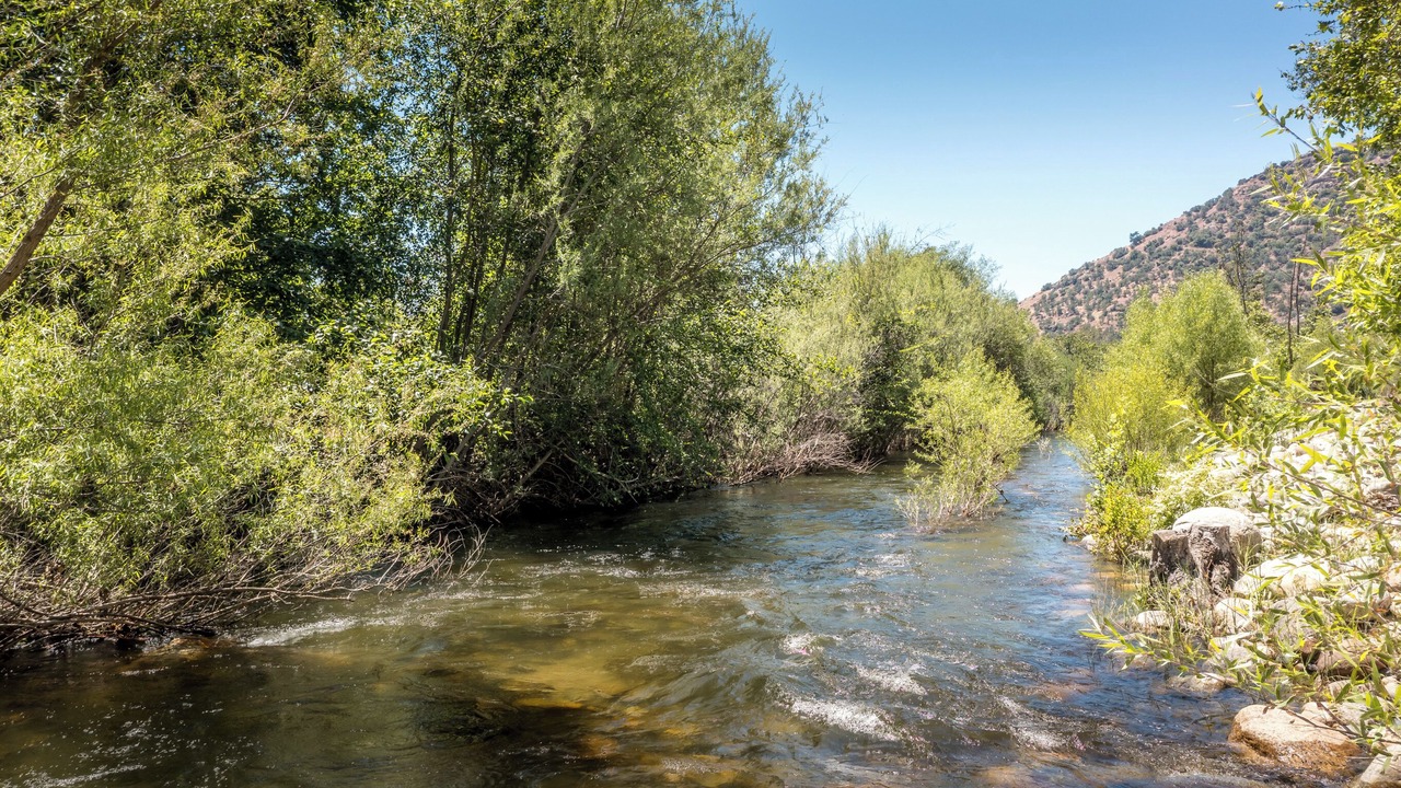 Photo of Others in Three Rivers