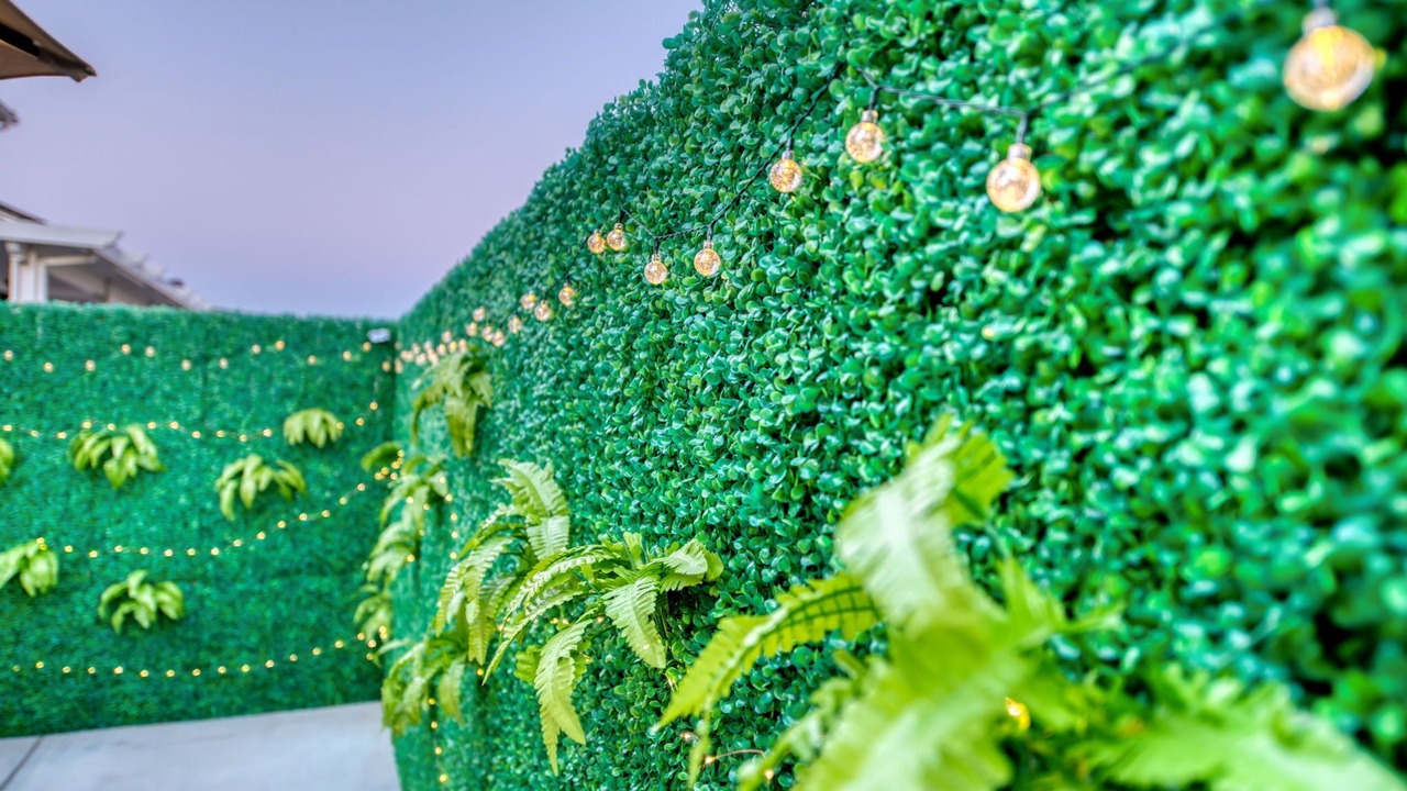 Photo of Outdoor in Raisin