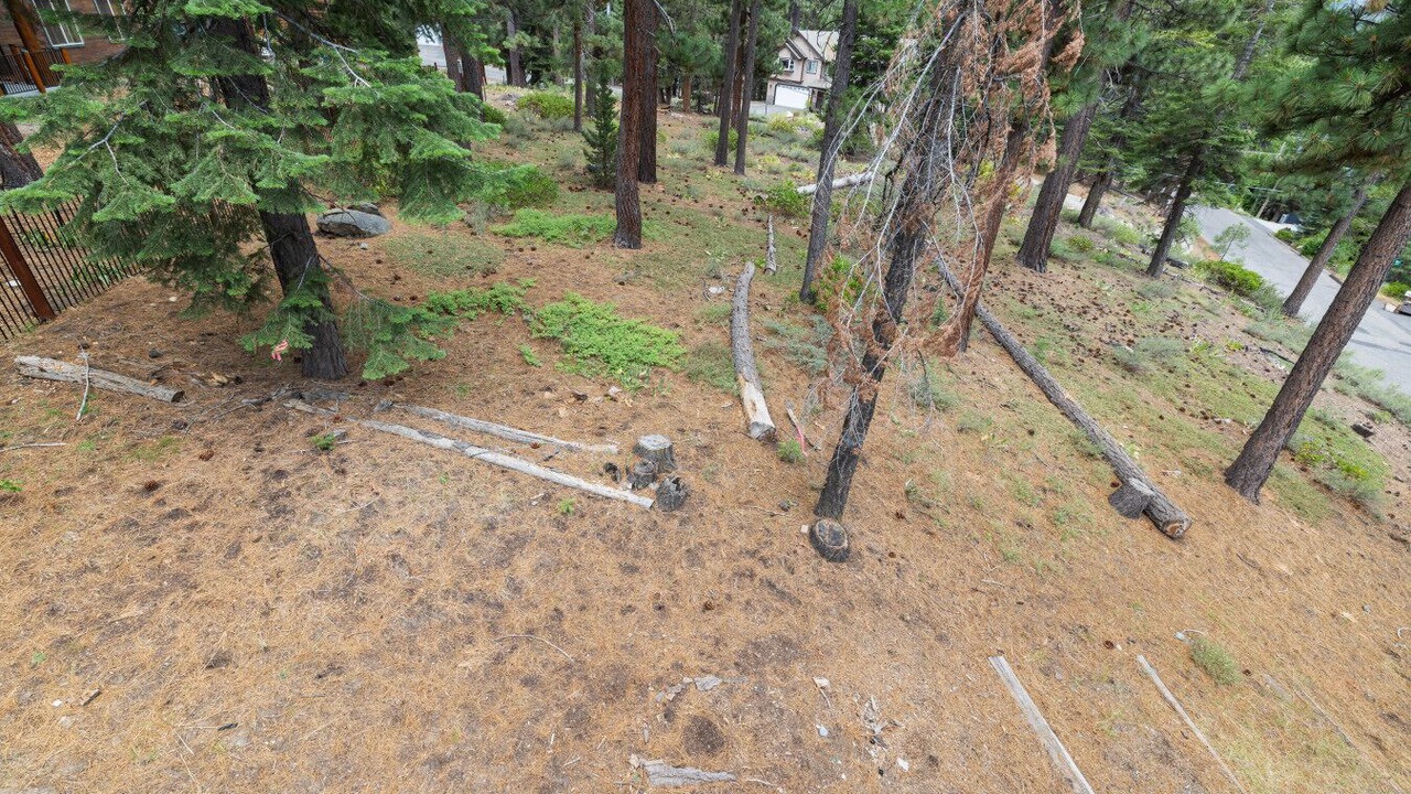 Photo of Outdoor in Country Club Estates