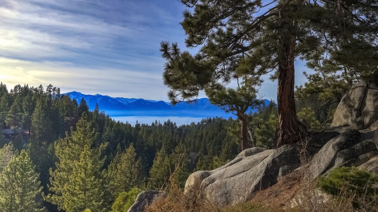 Photo of Others in Tahoe Village