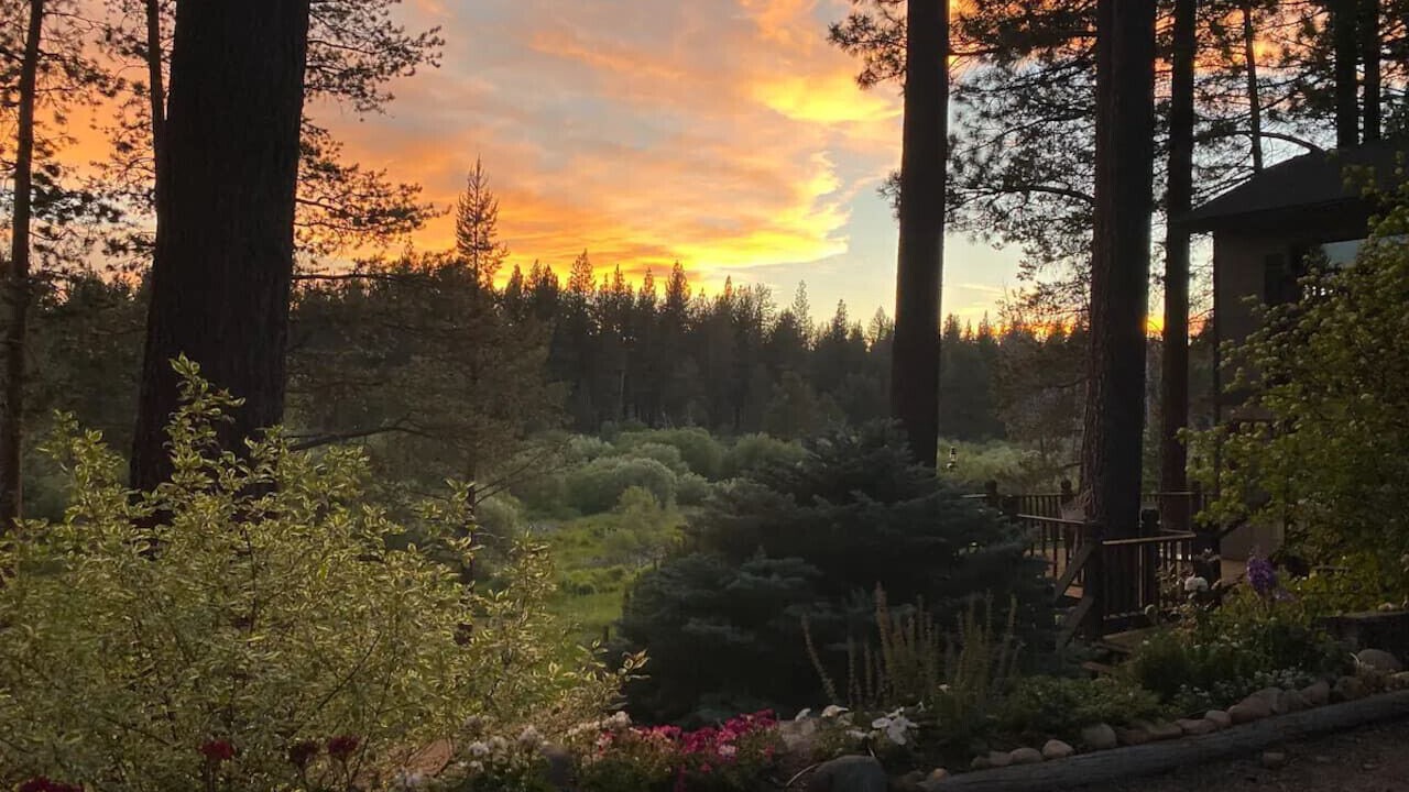 Photo of Outdoor in Black Bart