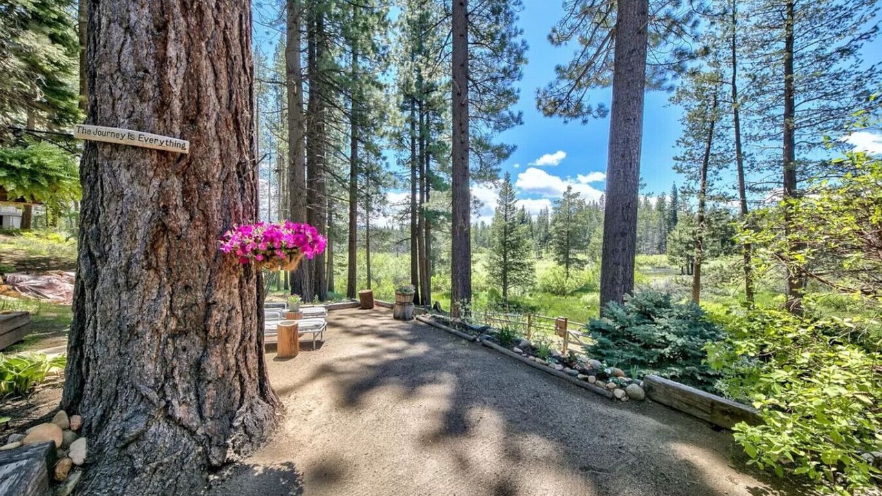 Photo of Outdoor in Black Bart