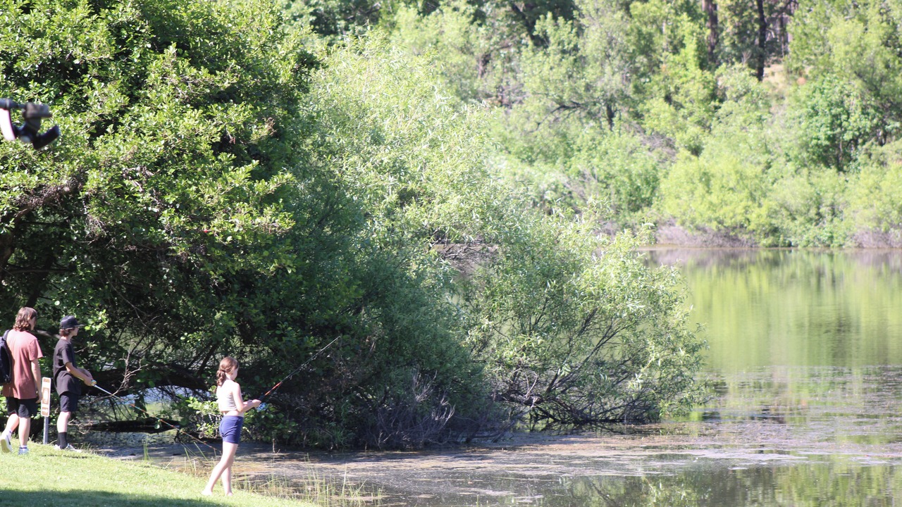 Photo of Outdoor in Auberry