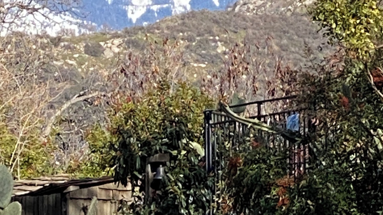 Photo of Outdoor in Three Rivers