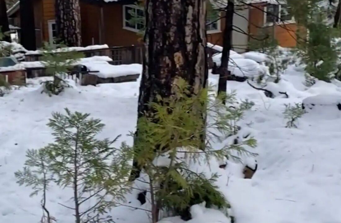 Photo of Outdoor in Kyburz
