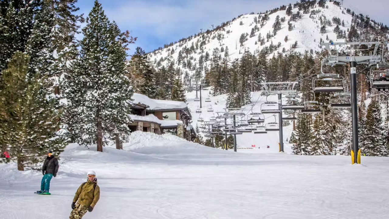 Photo of Others in Majestic Pines