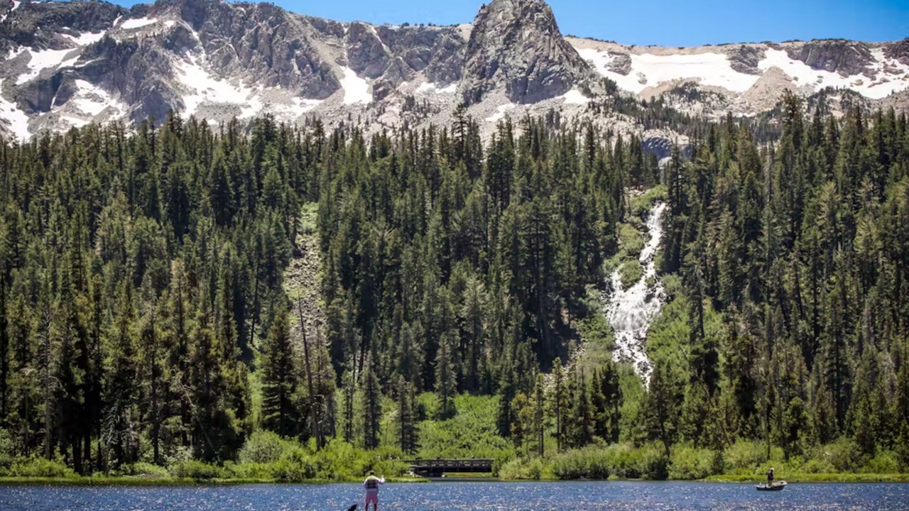 Photo of Others in Majestic Pines