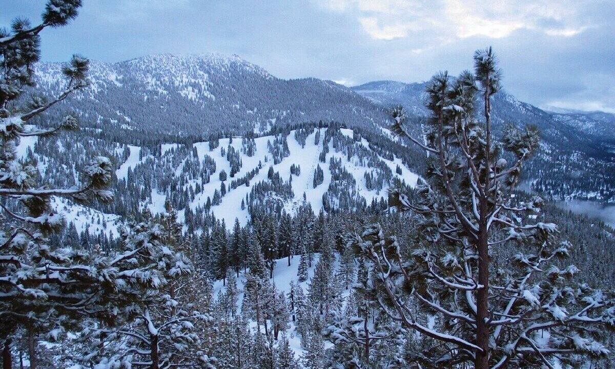 Photo of Others in Tahoe Village