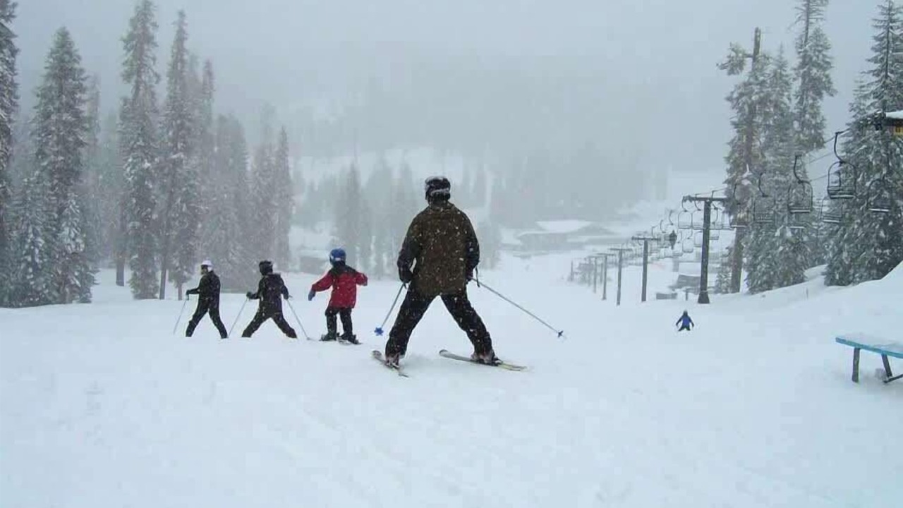 Photo of Others in Yosemite Forks