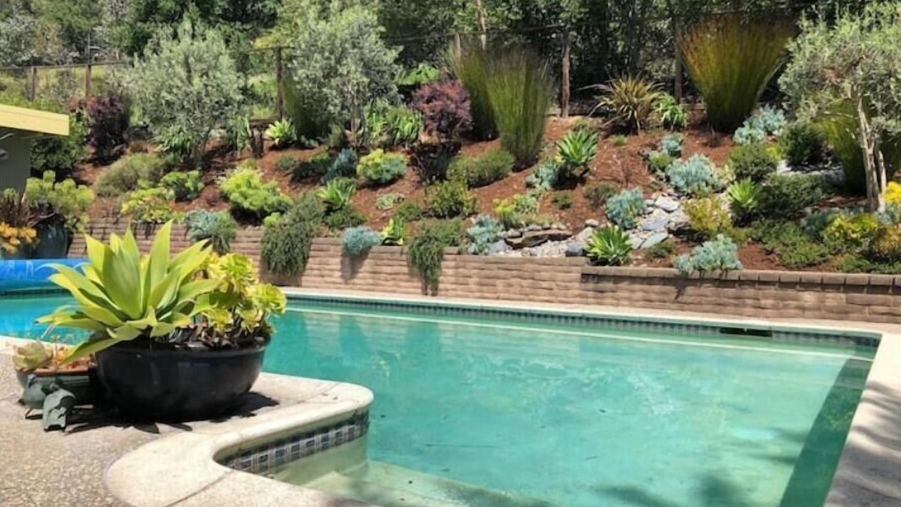 Photo of Outdoor in Lucas Valley-Marinwood