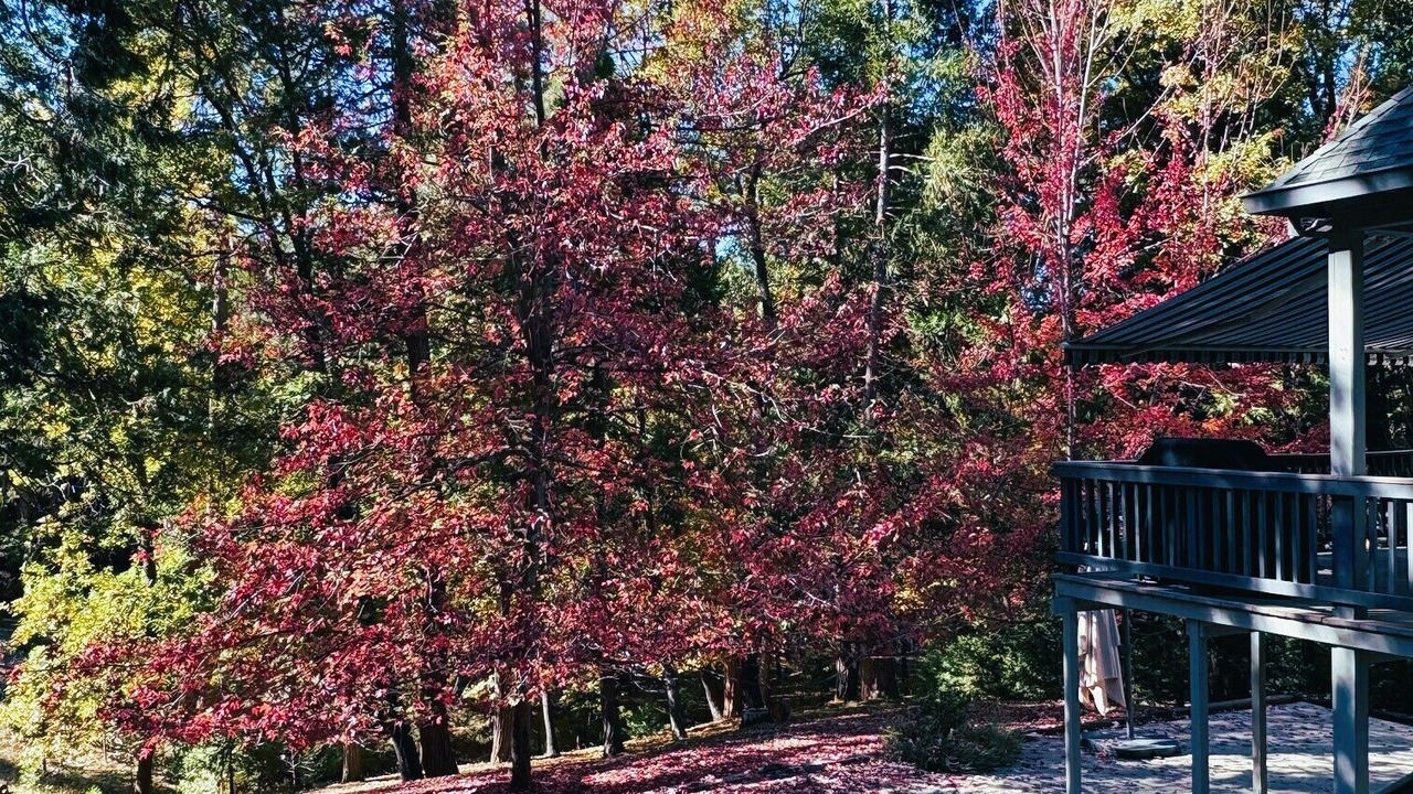 Photo of Outdoor in Twain Harte