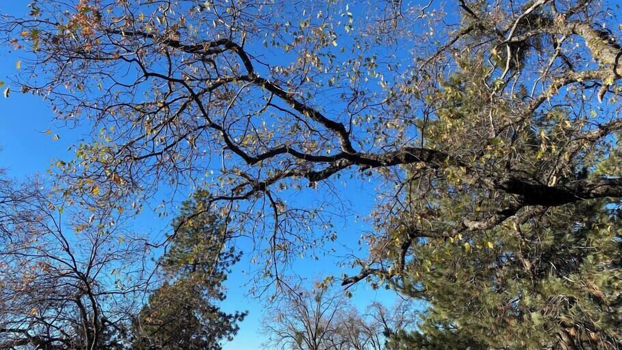 Photo of Outdoor in Dunlap